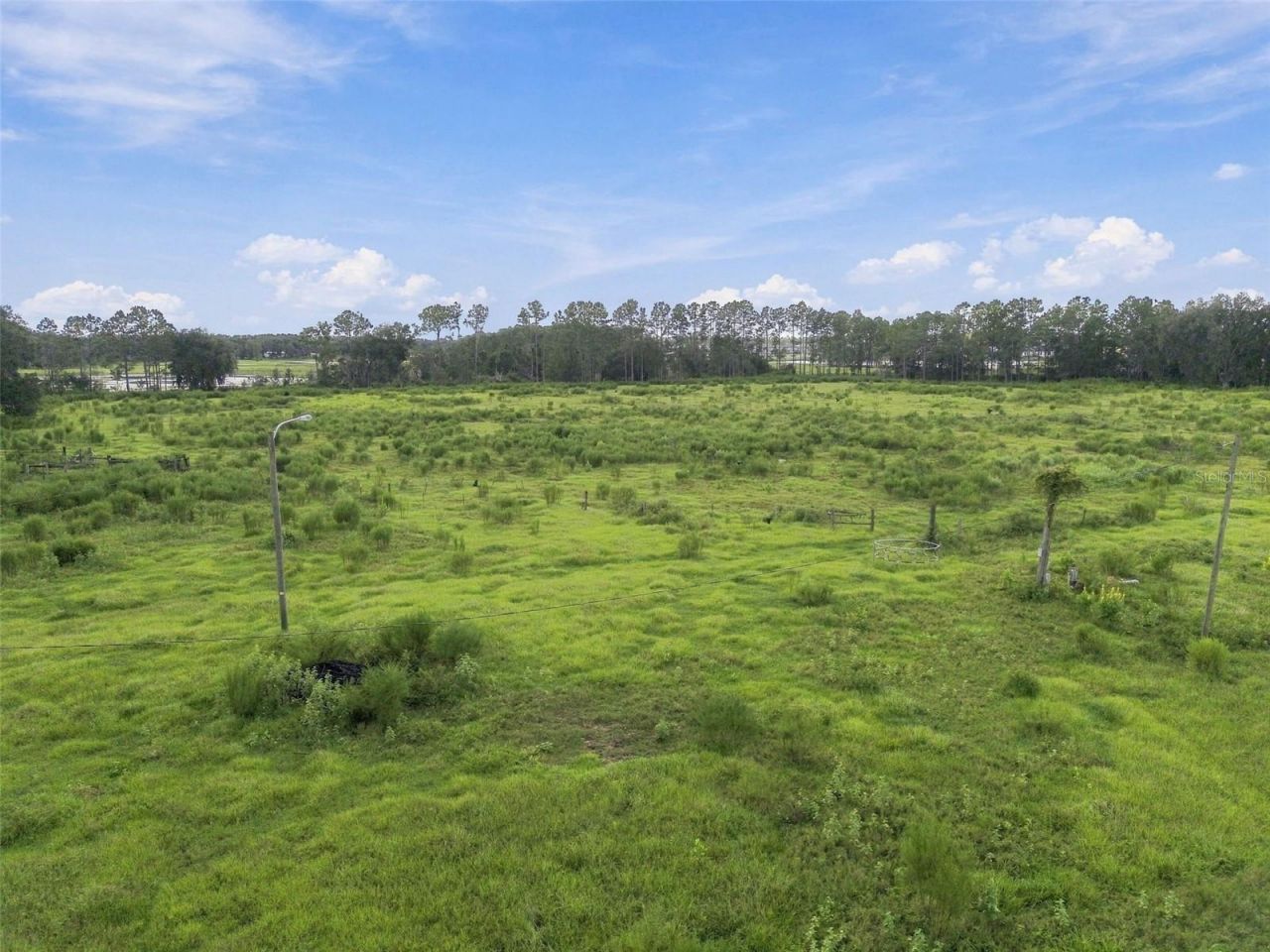 8989 Ehren Cutoff, Land O Lakes, FL 34639 Photo