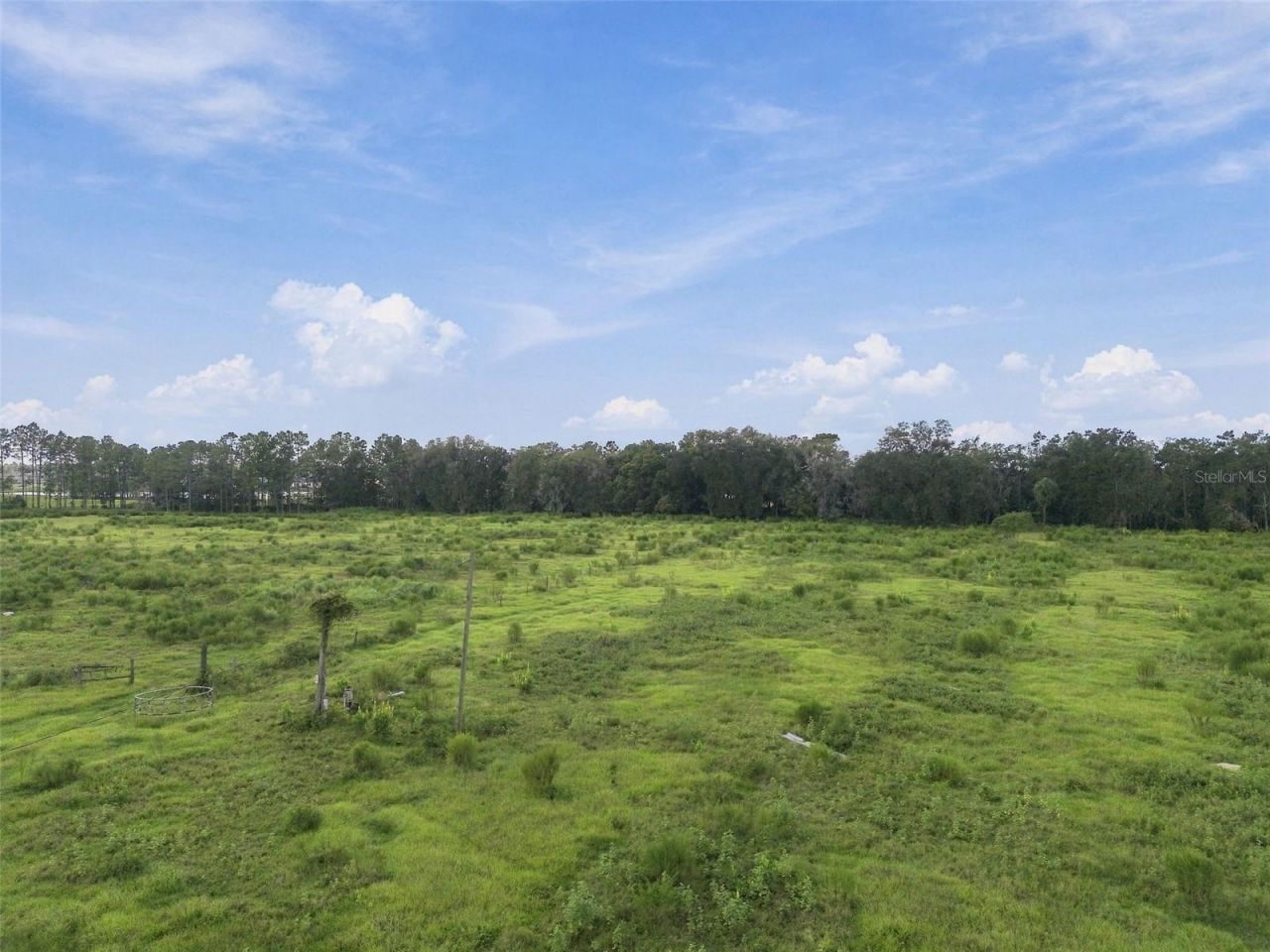 8989 Ehren Cutoff, Land O Lakes, FL 34639 Photo