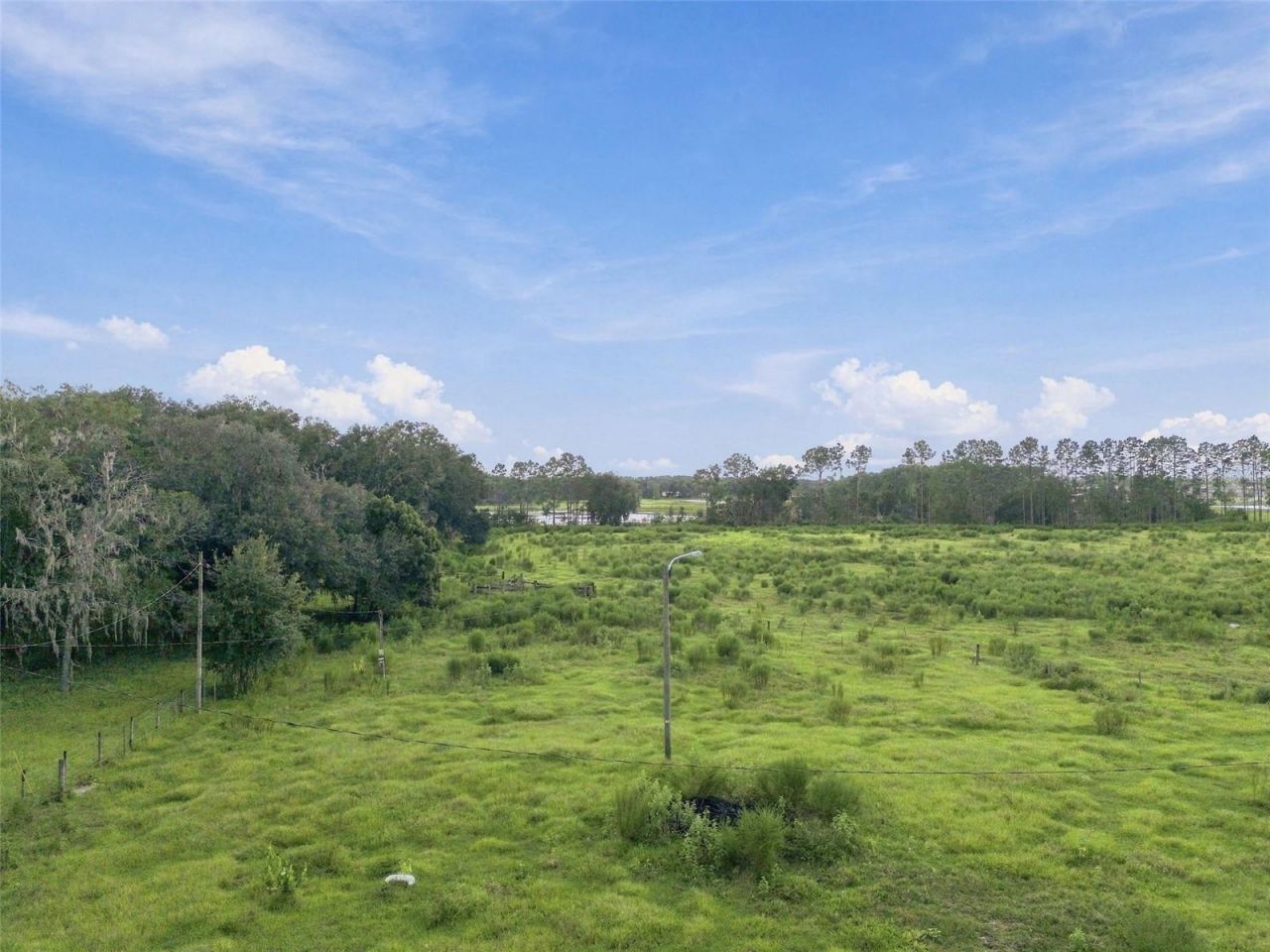 8989 Ehren Cutoff, Land O Lakes, FL 34639 Photo