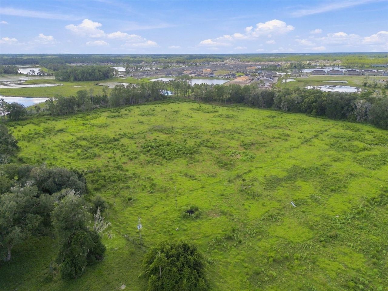 8989 Ehren Cutoff, Land O Lakes, FL 34639 Photo