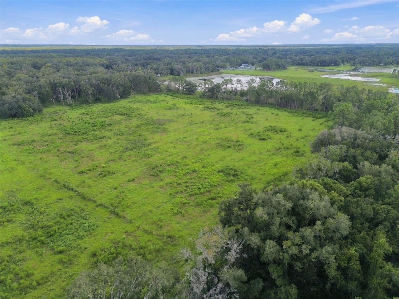 8989 Ehren Cutoff, Land O Lakes, FL 34639 Photo
