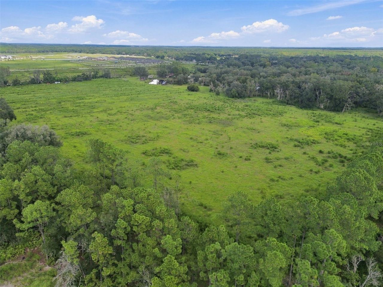 8989 Ehren Cutoff, Land O Lakes, FL 34639 Photo