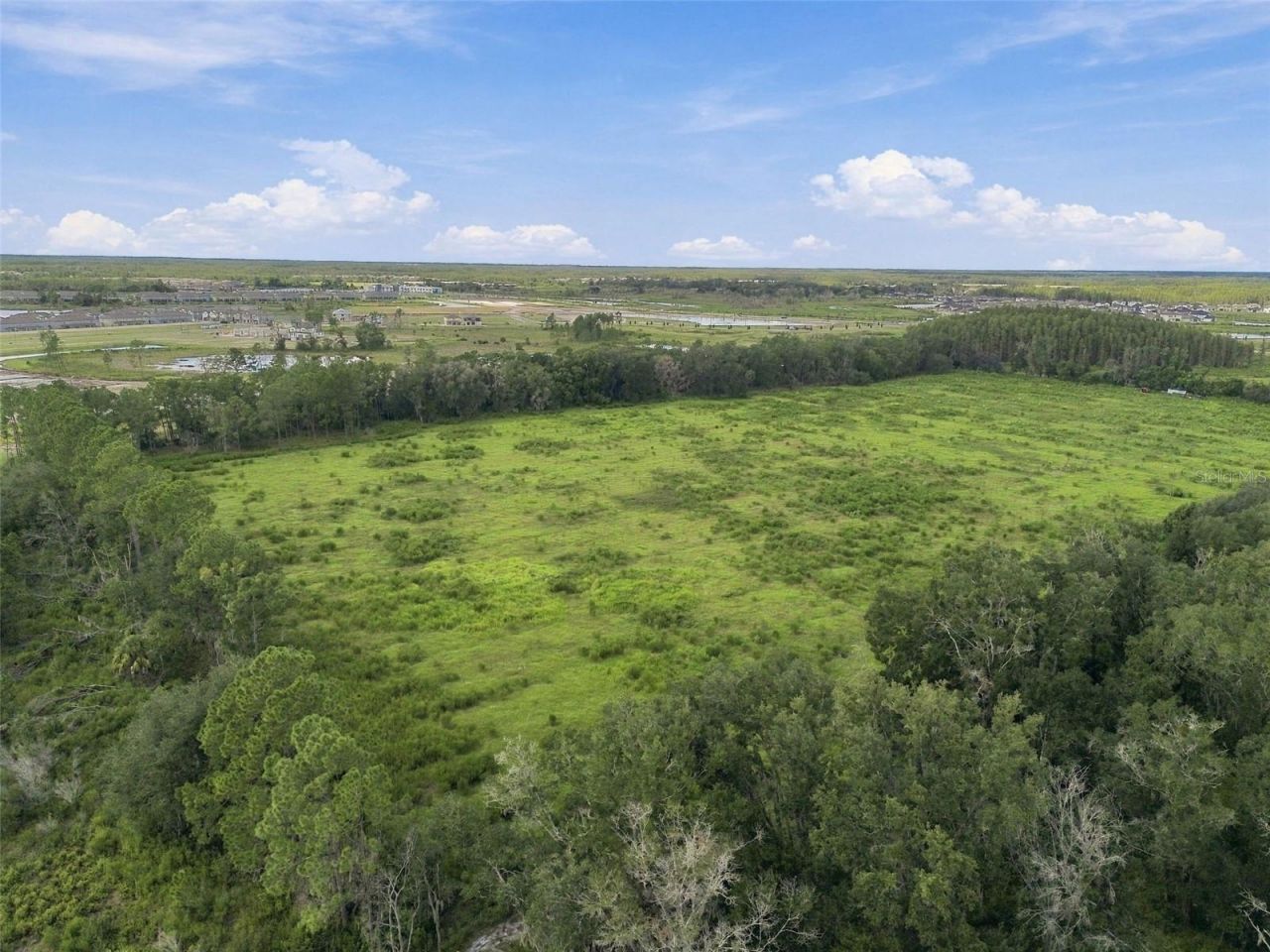 8989 Ehren Cutoff, Land O Lakes, FL 34639 Photo