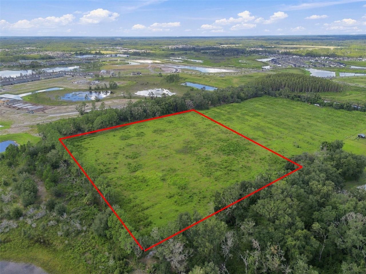 8989 Ehren Cutoff, Land O Lakes, FL 34639 Photo