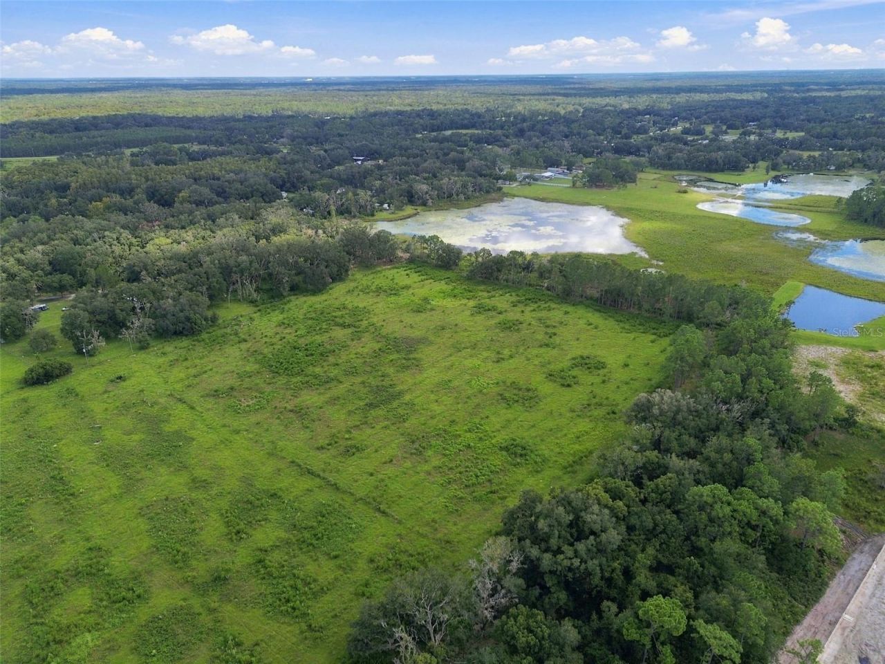 8989 Ehren Cutoff, Land O Lakes, FL 34639 Photo