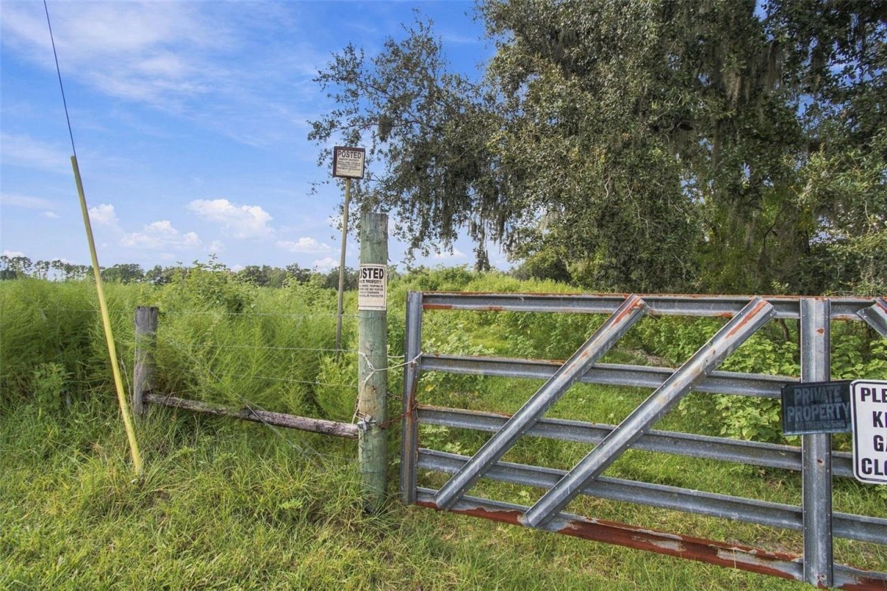 8989 Ehren Cutoff, Land O Lakes, FL 34639 Photo
