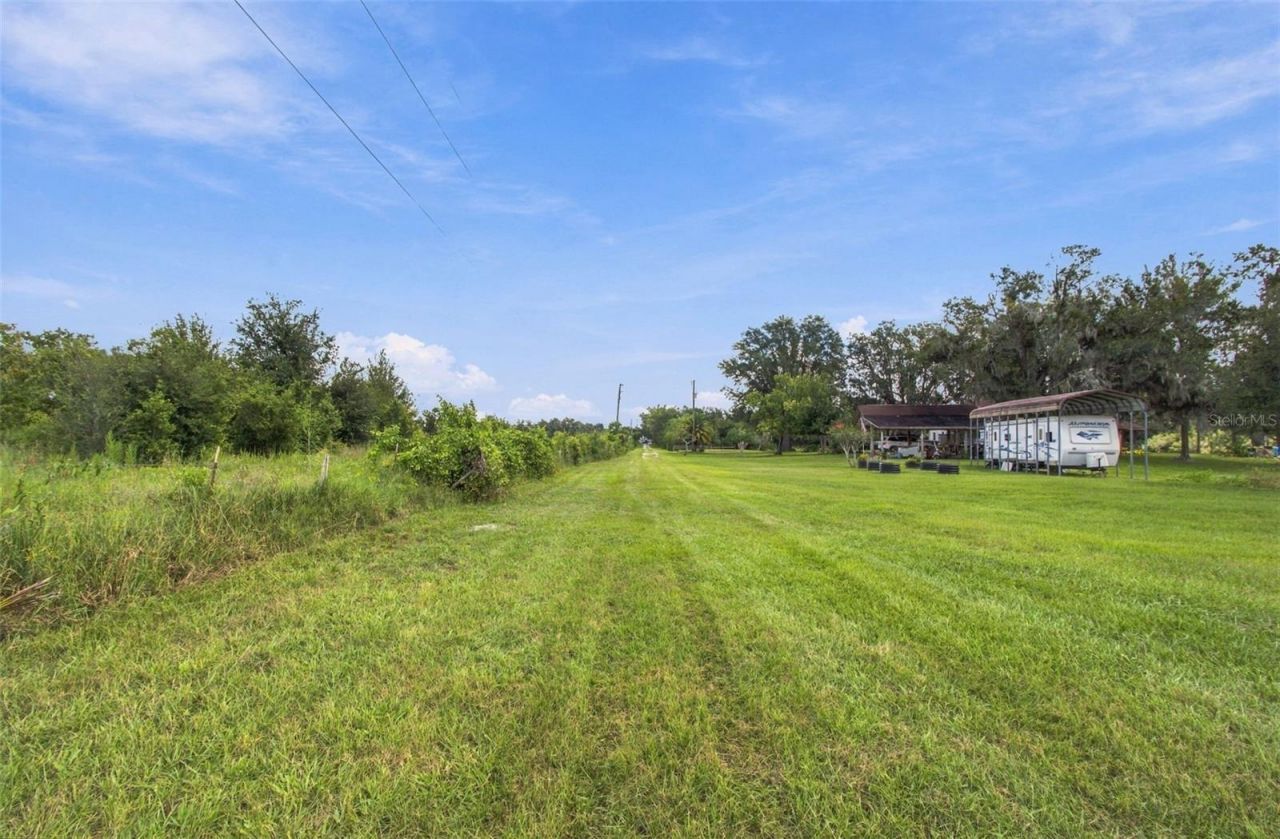 8989 Ehren Cutoff, Land O Lakes, FL 34639 Photo