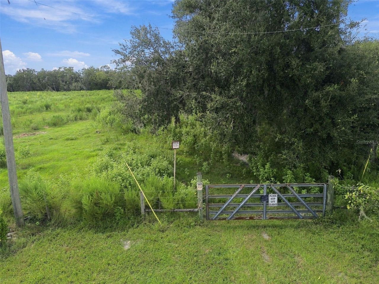 8989 Ehren Cutoff, Land O Lakes, FL 34639 Photo