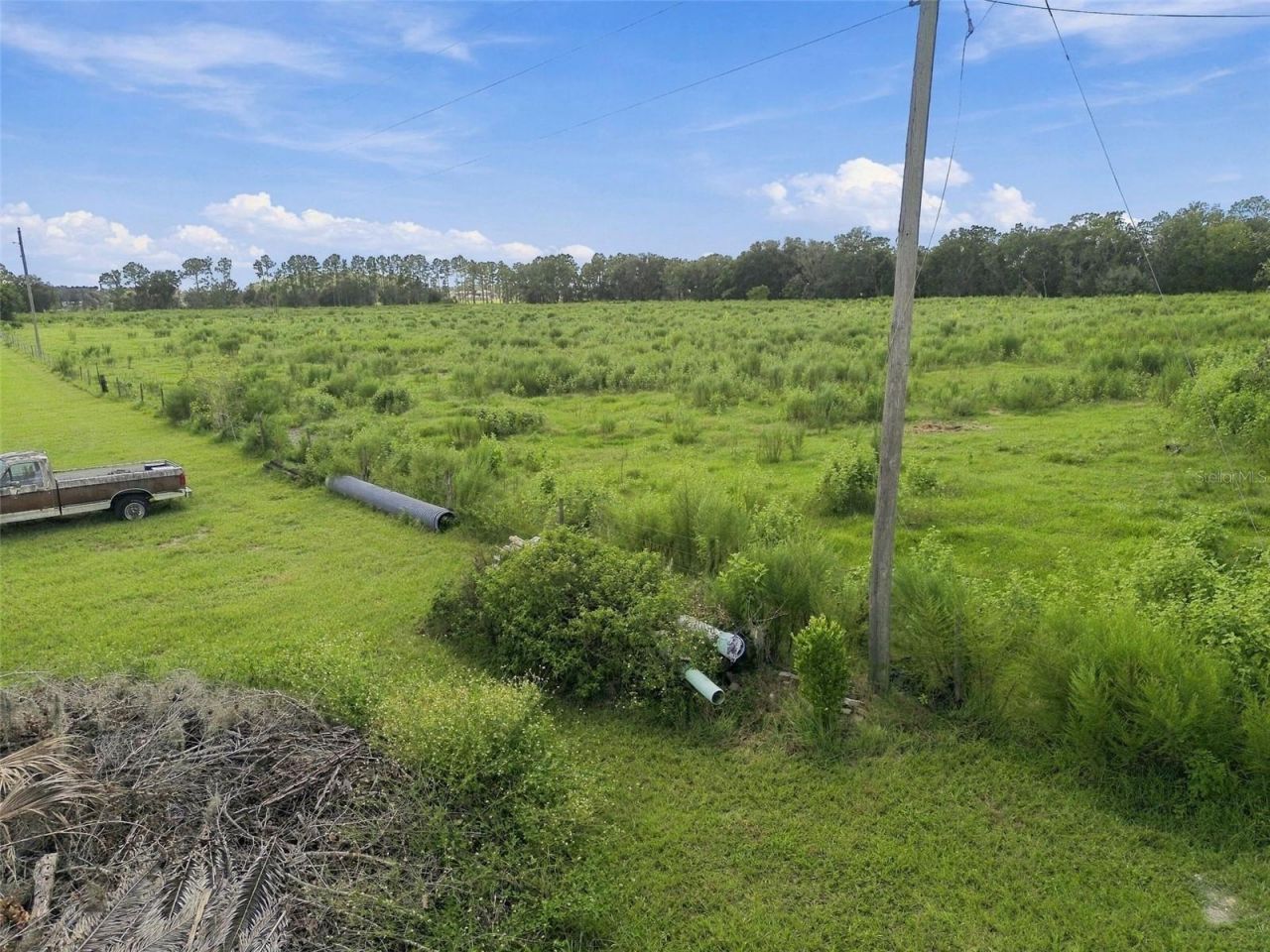 8989 Ehren Cutoff, Land O Lakes, FL 34639 Photo