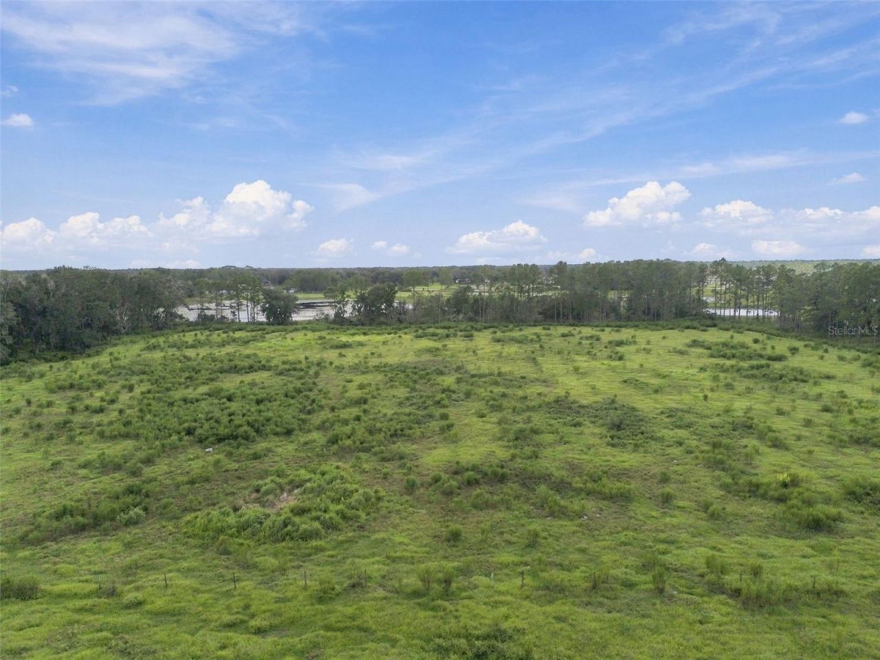 8989 Ehren Cutoff, Land O Lakes, FL 34639 Photo