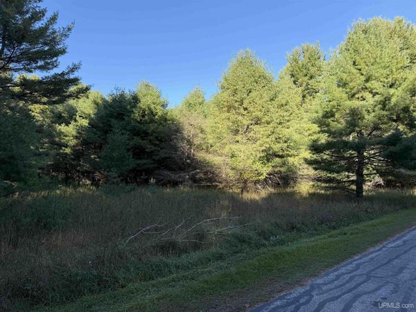 TBD W Pine Ridge Road, Hiawatha Twp, MI 49854