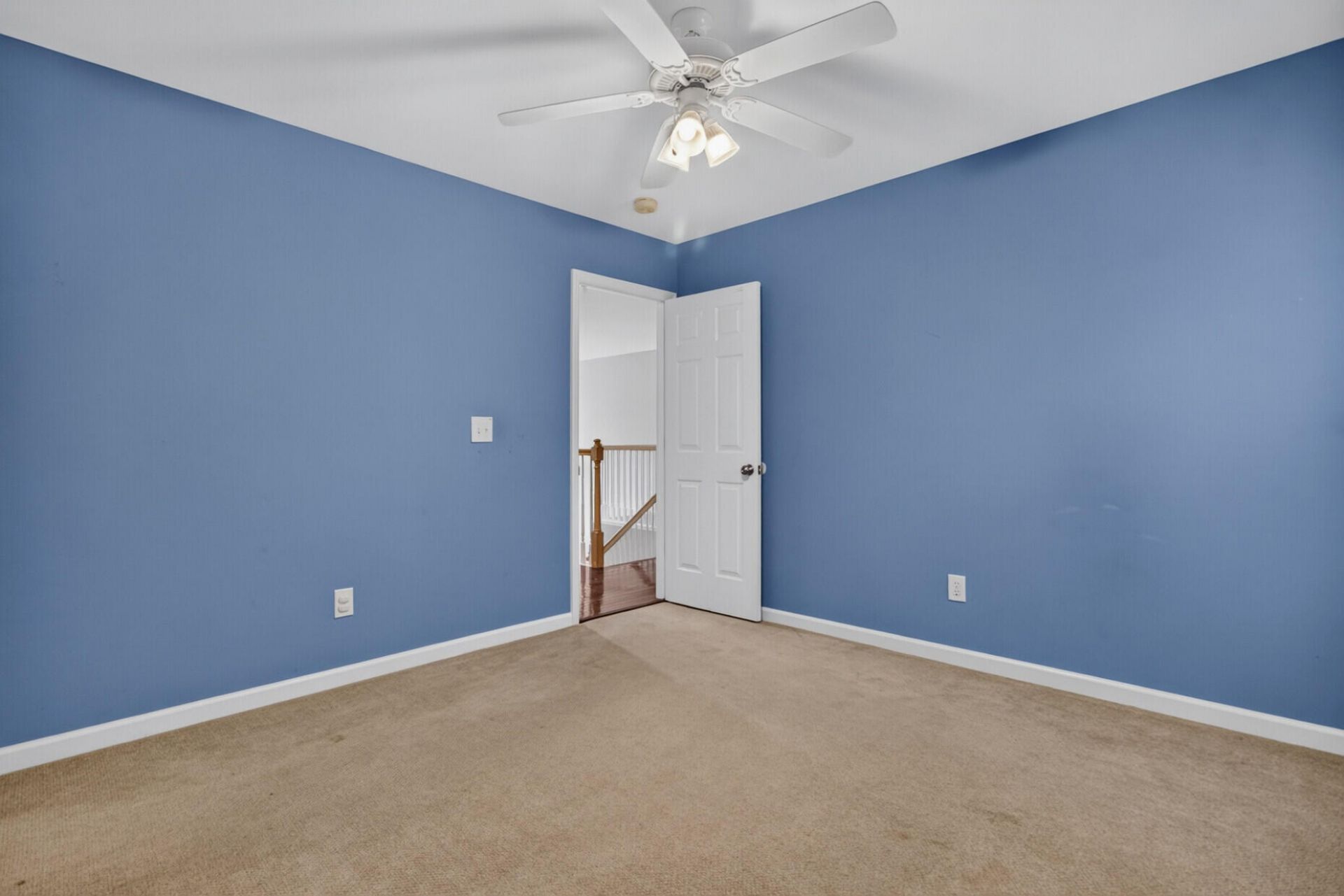 1132 Black Rush Circle Photo 15