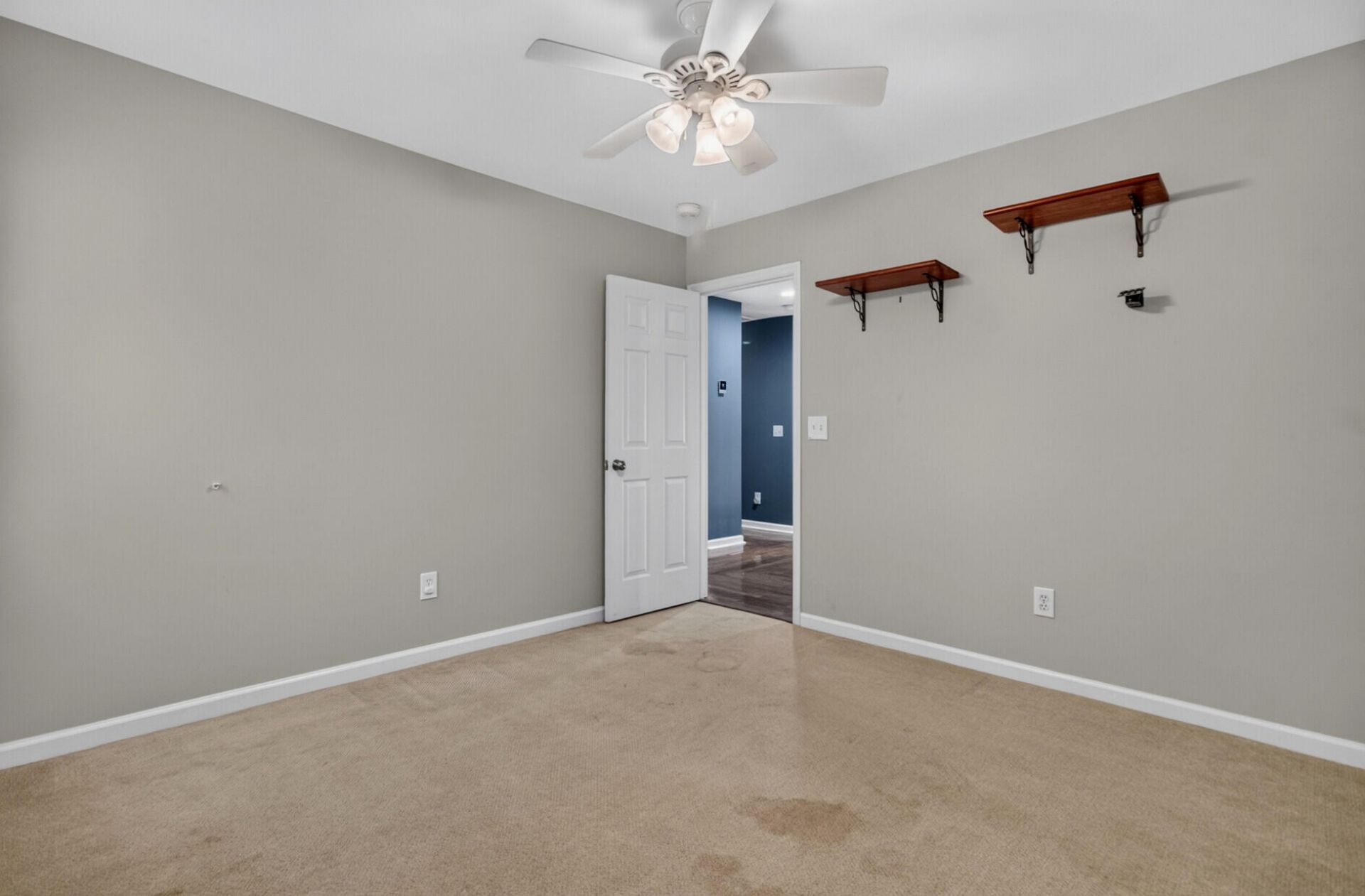 1132 Black Rush Circle Photo 17
