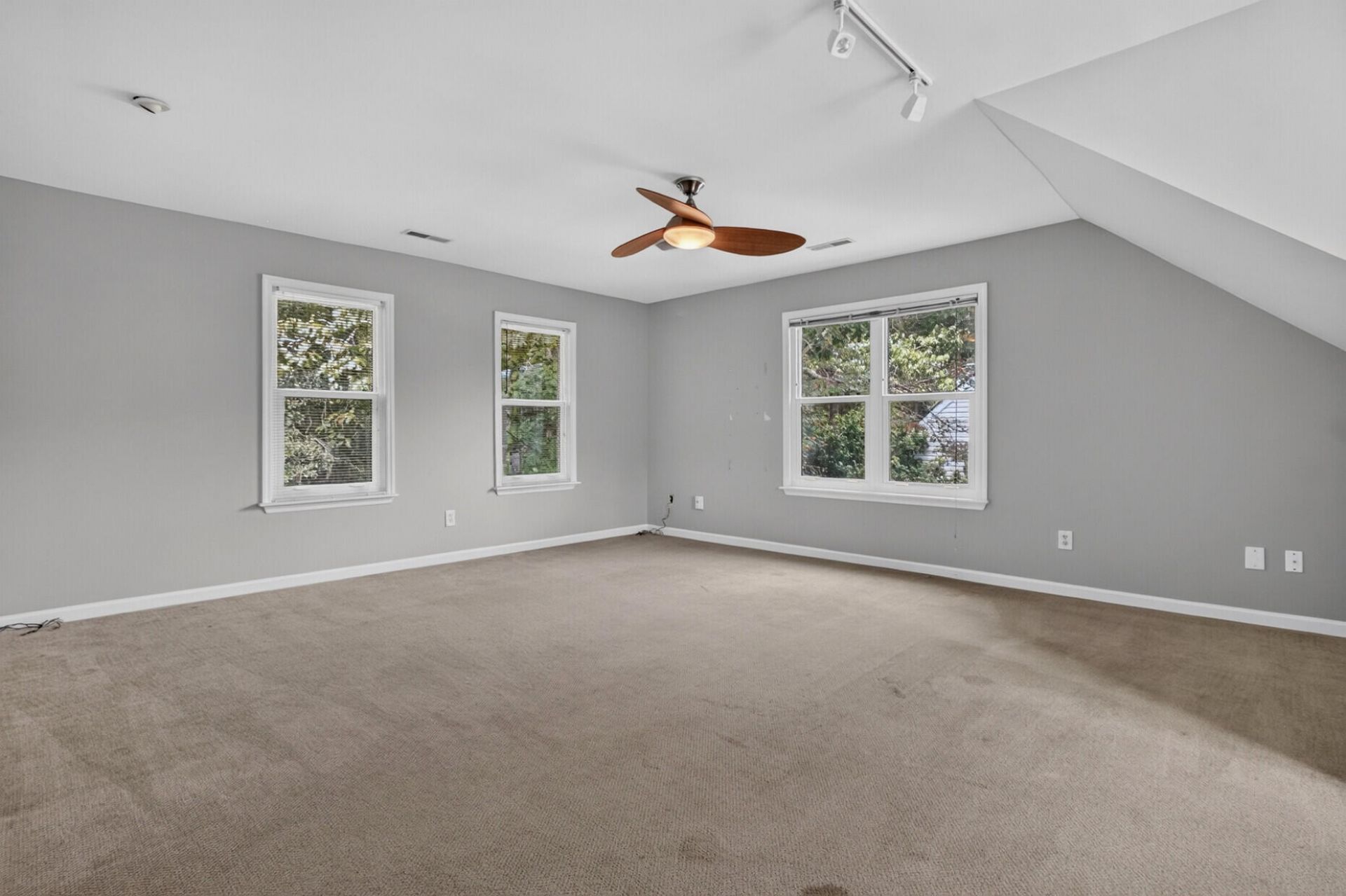 1132 Black Rush Circle Photo 22