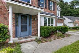 1132 Black Rush Circle photo 4
