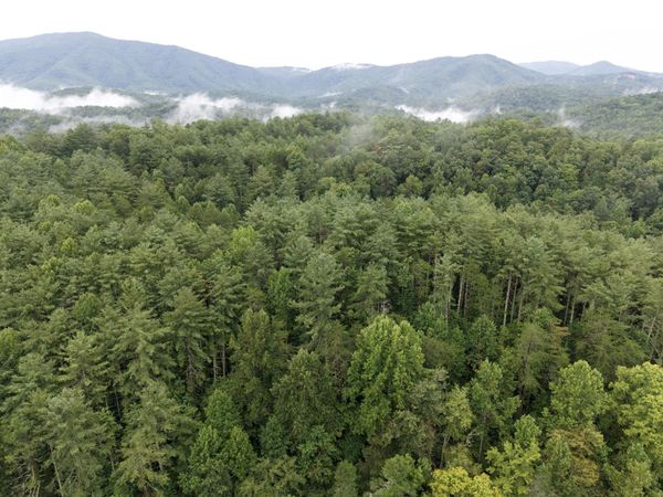 410 Seay Hollow Road, Del Rio, TN 37727