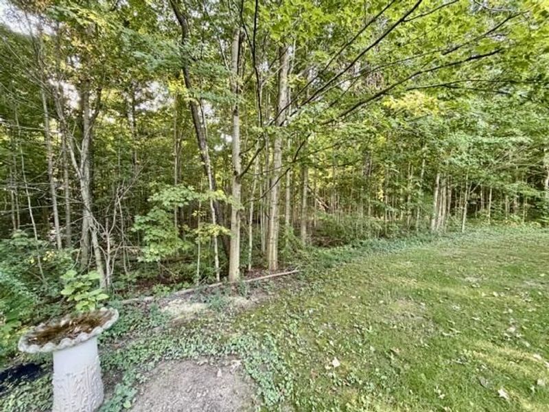 9350 Bay Road, New Knoxville, OH 45871 Photo 12