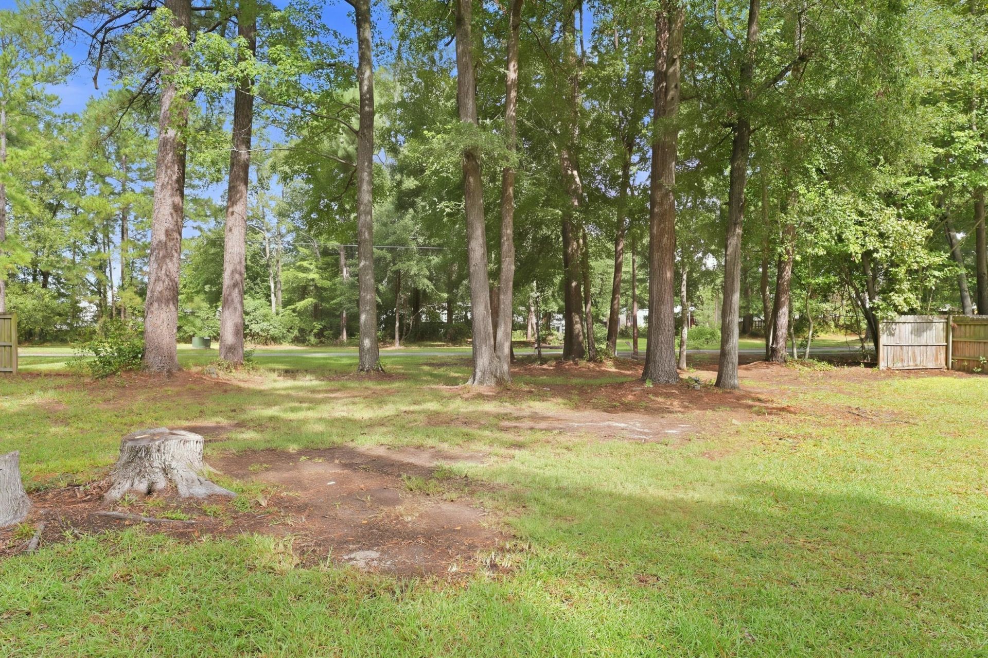 110 Dudley Lane Photo 37