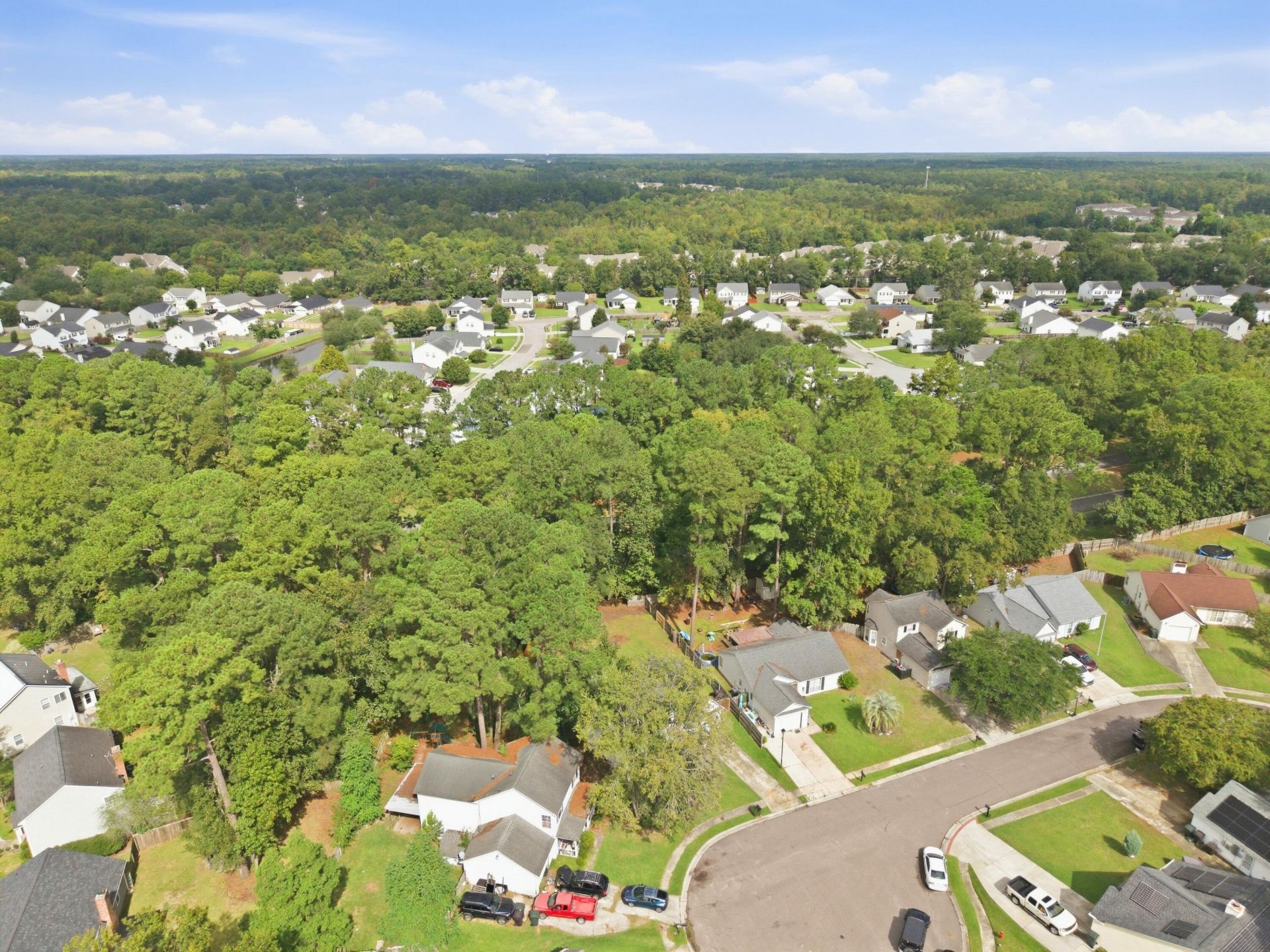 110 Dudley Lane Photo 5