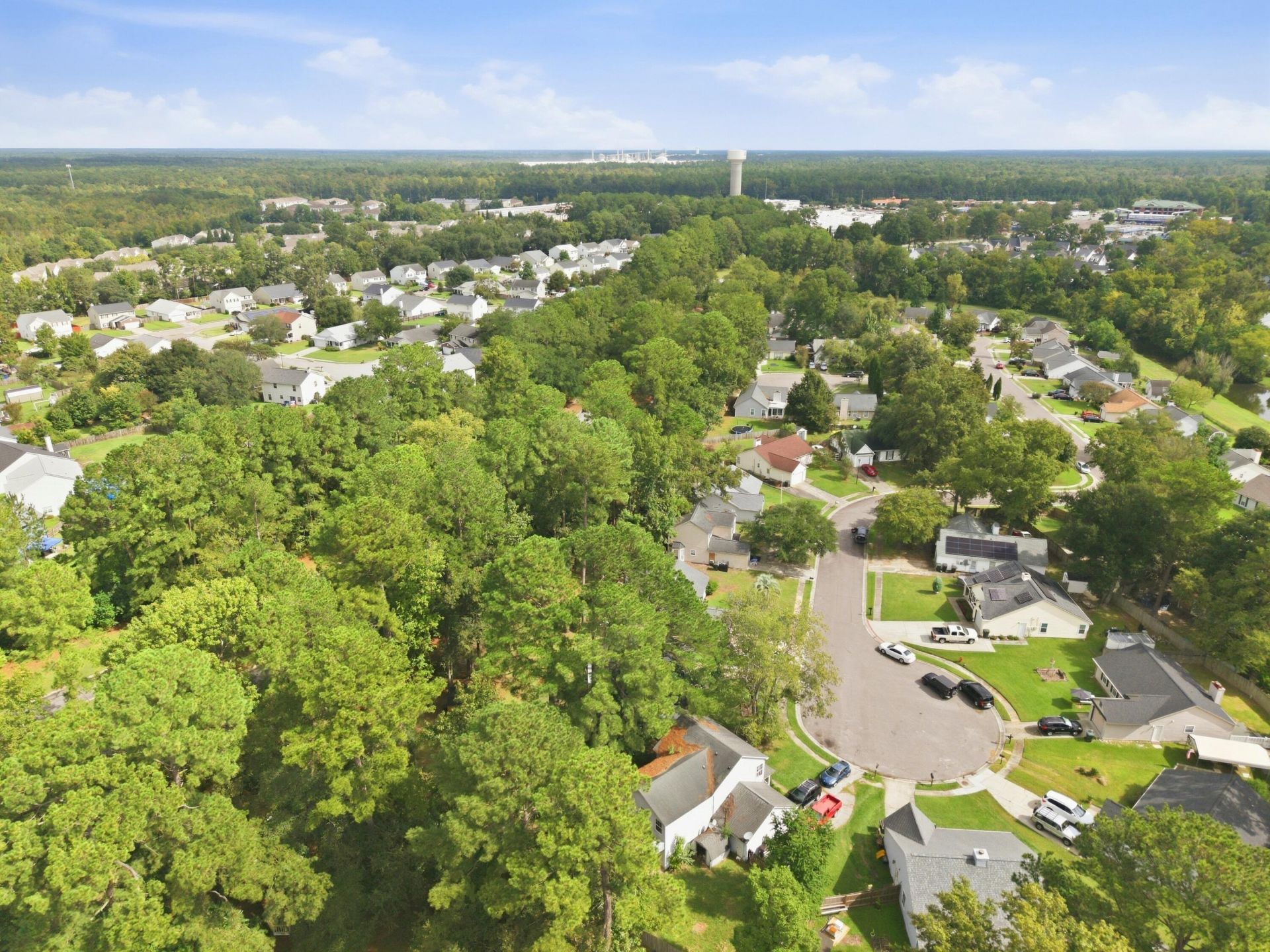 110 Dudley Lane Photo 6