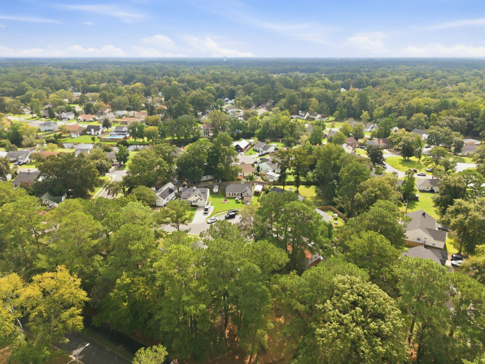 110 Dudley Lane Photo 8