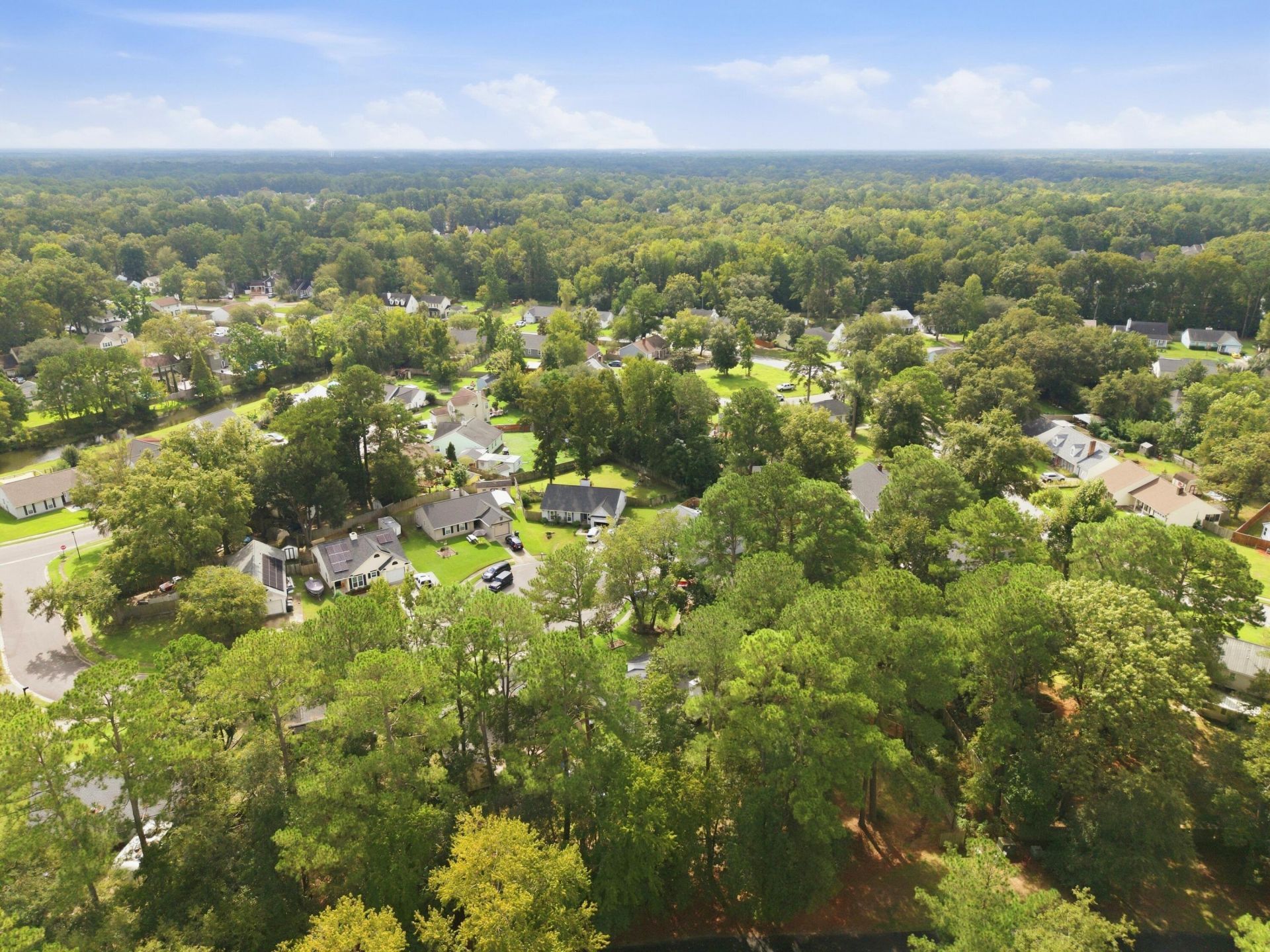 110 Dudley Lane Photo 9