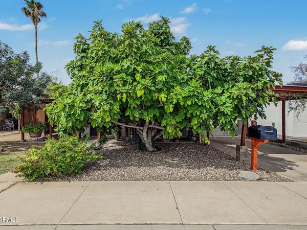 208 N HORNE, Mesa, AZ 85203