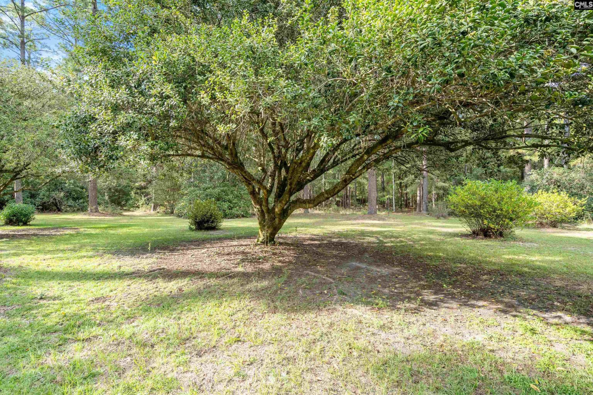 583 Stokes Road  Photo 45
