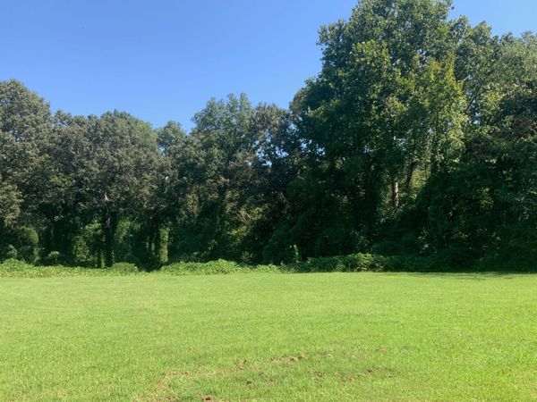 0 Spinks Clay Road , Puryear, TN 38251