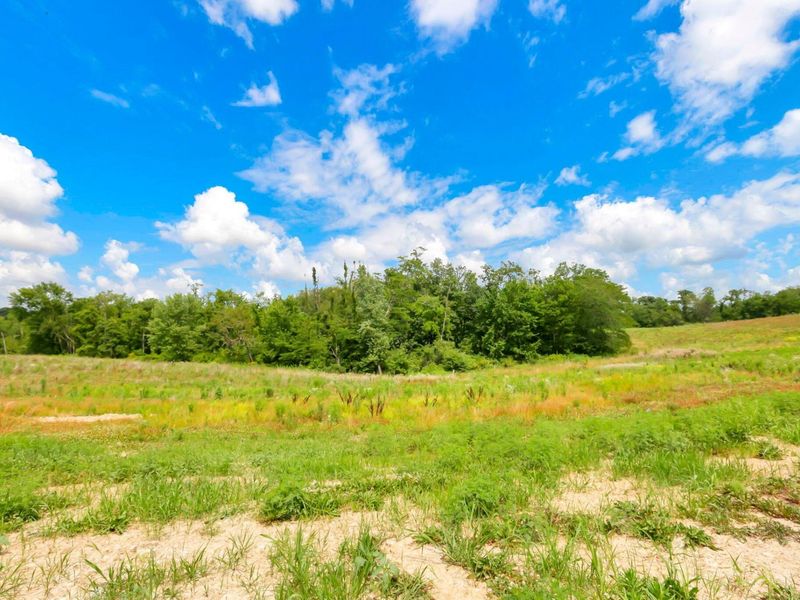 600 Trapp Lane , Hopewell, OH 43746 Photo 33