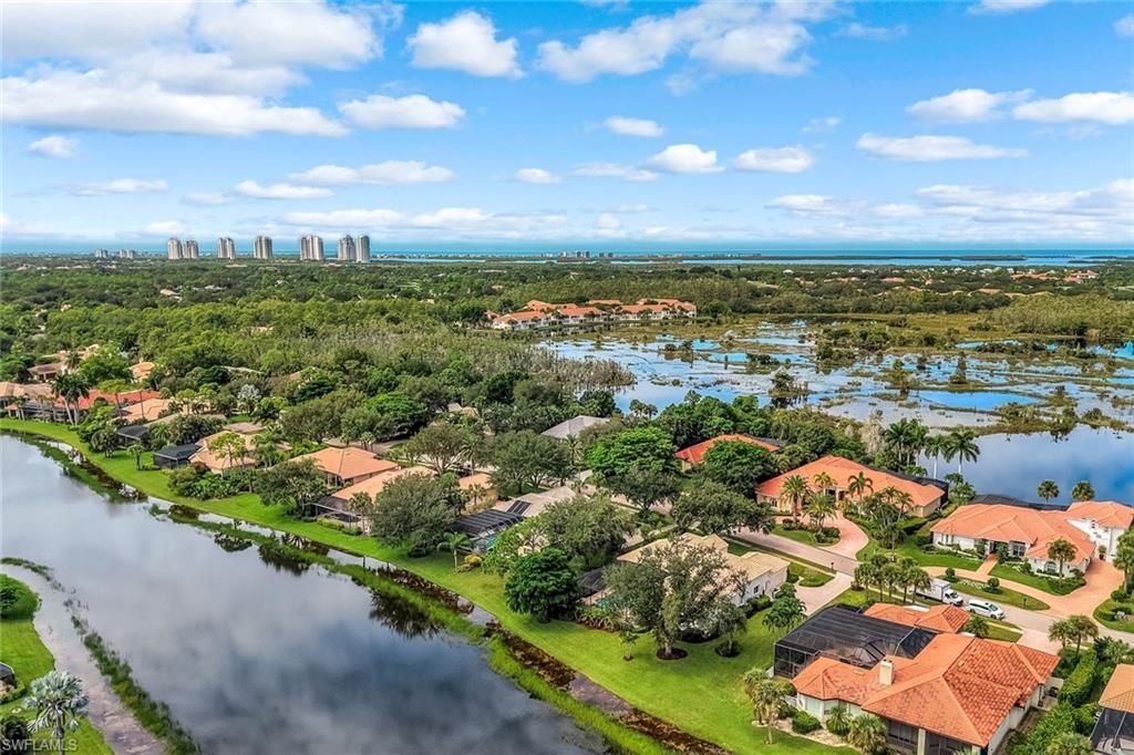 24421 Woodsage Dr, Bonita Springs, FL 34134 Photo