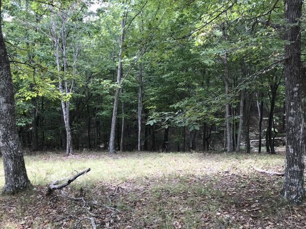 103 Bluffview Drive , Unit 103-B, Dunlap, TN 37327
