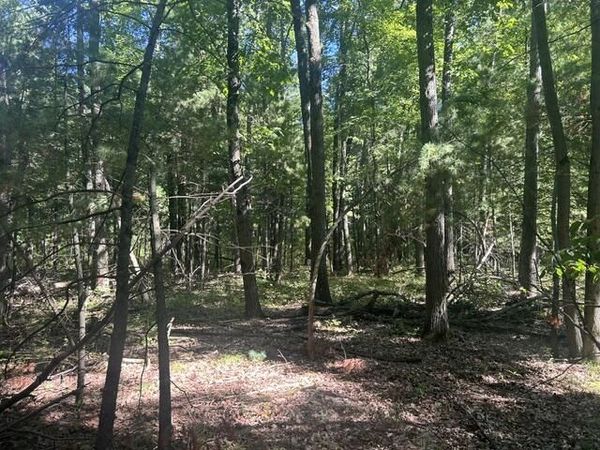 9 Mile Road, Stanwood, MI 49346