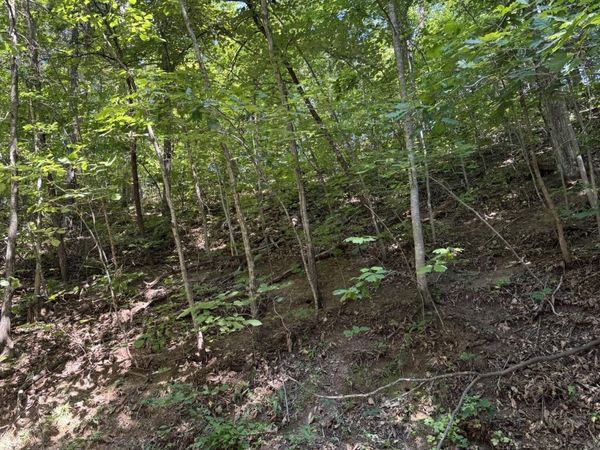 0 progress hill Drive , Unit 29, Pigeon Forge, TN 37863