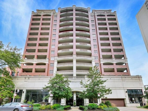 828 W Grace Street , Unit 1308, Chicago, IL 60613