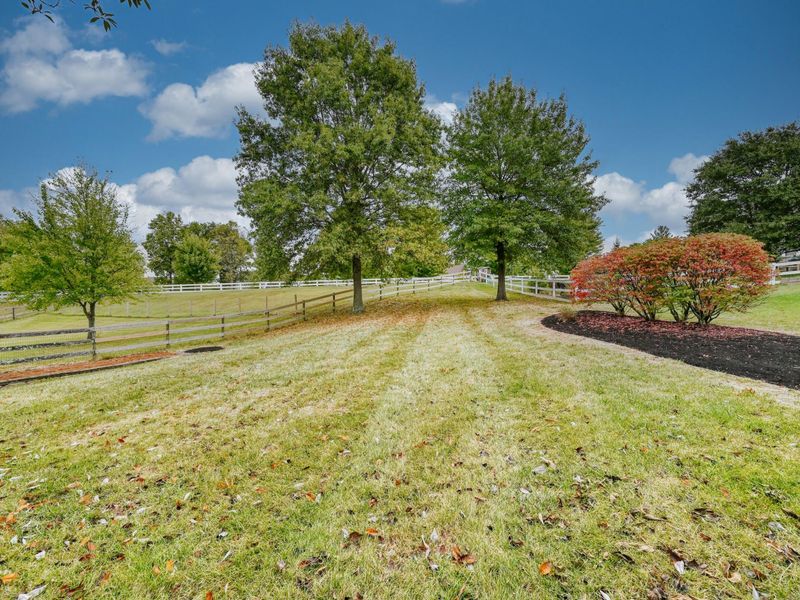 9686 Capri Court, Union, KY 41091 Photo 33