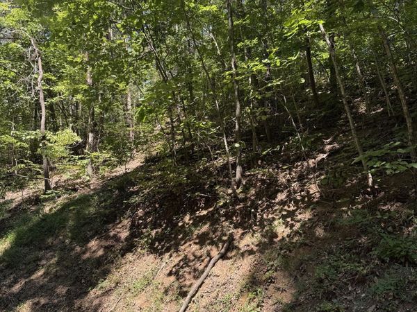 0 Progress Hill Boulevard , Unit 39, Pigeon Forge, TN 37863
