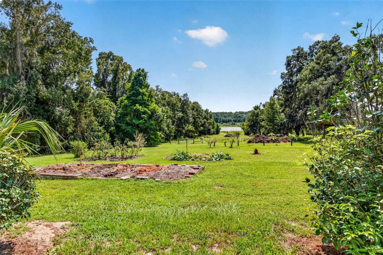 32824 Lister Road, Dade City, FL 33523 Photo