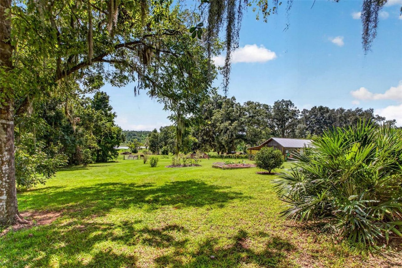 32824 Lister Road, Dade City, FL 33523 Photo