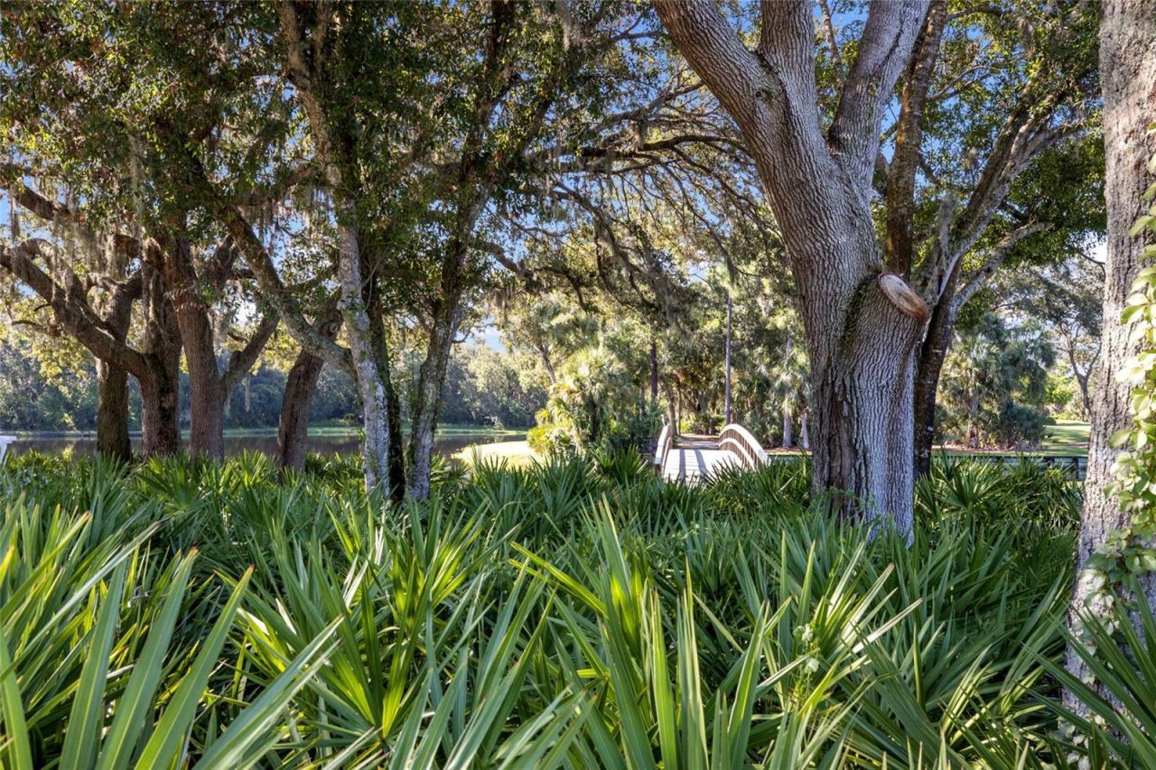 7029 Lennox Place, University Park, FL 34201 Photo