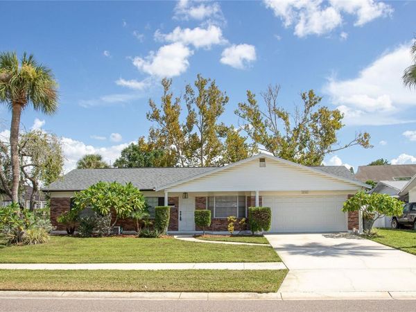 8302 LOPEZ DRIVE , TAMPA, FL 33615