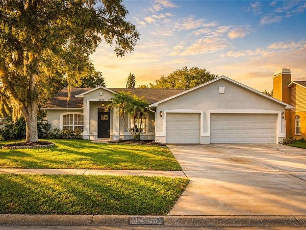 4410 KENDAL COURT , VALRICO, FL 33596