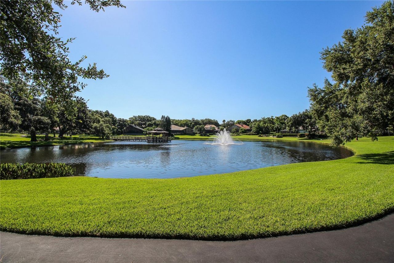 2615 Landing Way, Palm Harbor, FL 34684 Photo