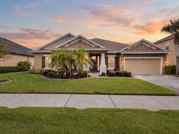 1584 VIRGINIA WILLOW DRIVE , WESLEY CHAPEL, FL 33544
