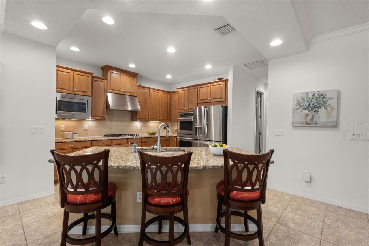 1584 Virginia Willow Drive , Wesley Chapel, FL 33544 Photo