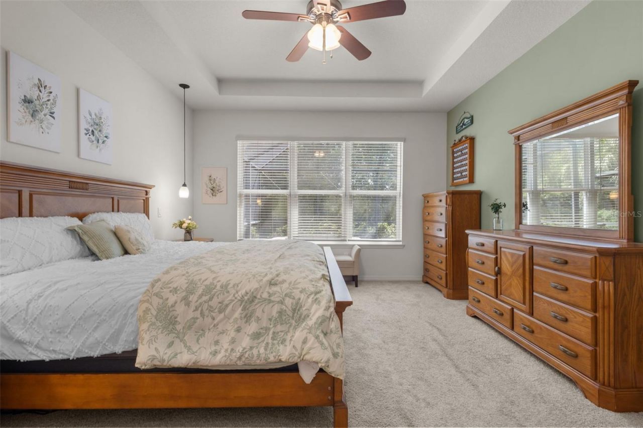 1584 Virginia Willow Drive , Wesley Chapel, FL 33544 Photo