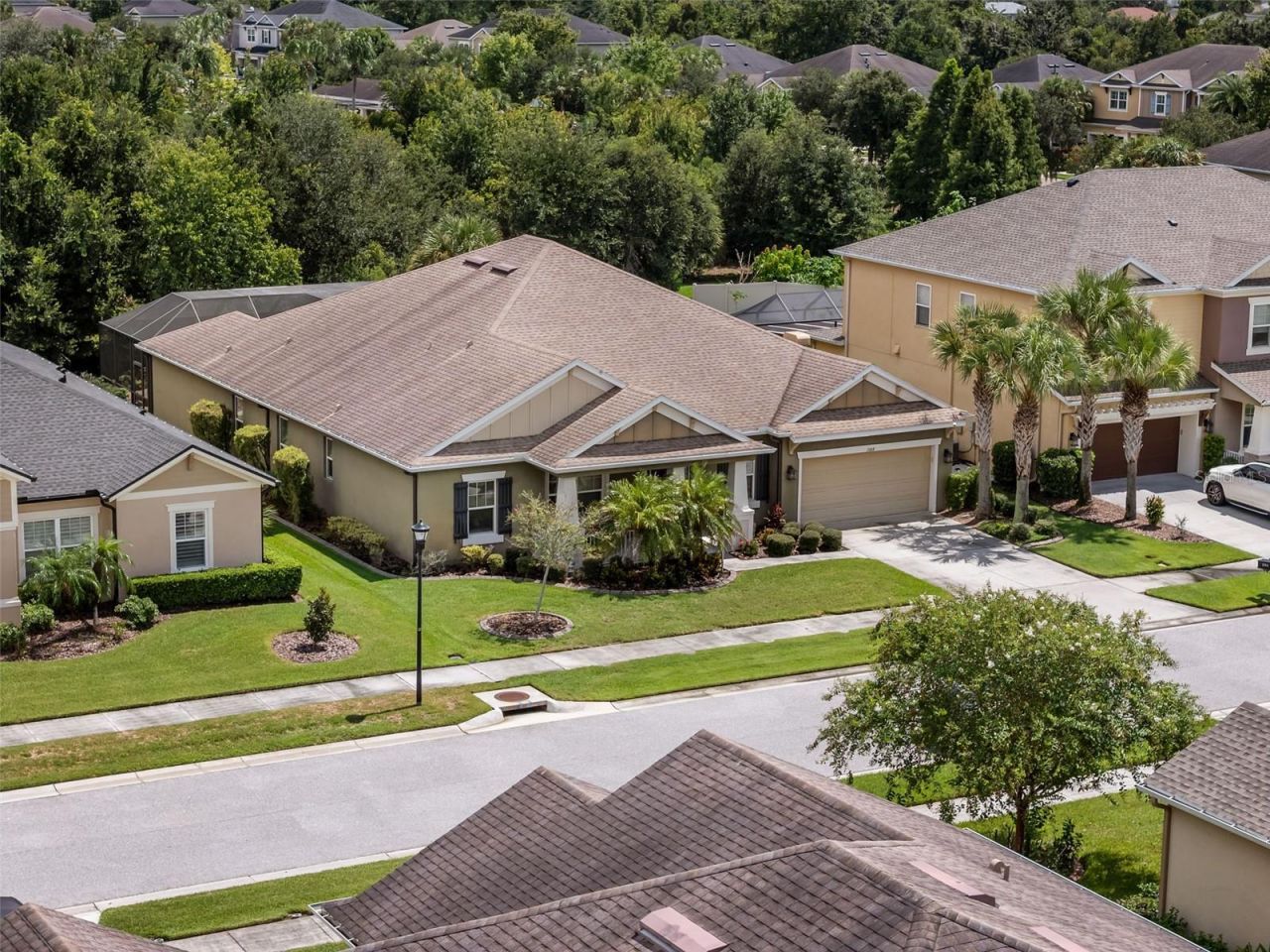 1584 Virginia Willow Drive , Wesley Chapel, FL 33544 Photo