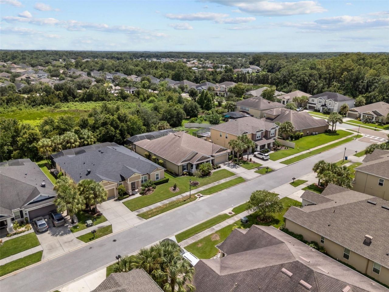 1584 Virginia Willow Drive , Wesley Chapel, FL 33544 Photo