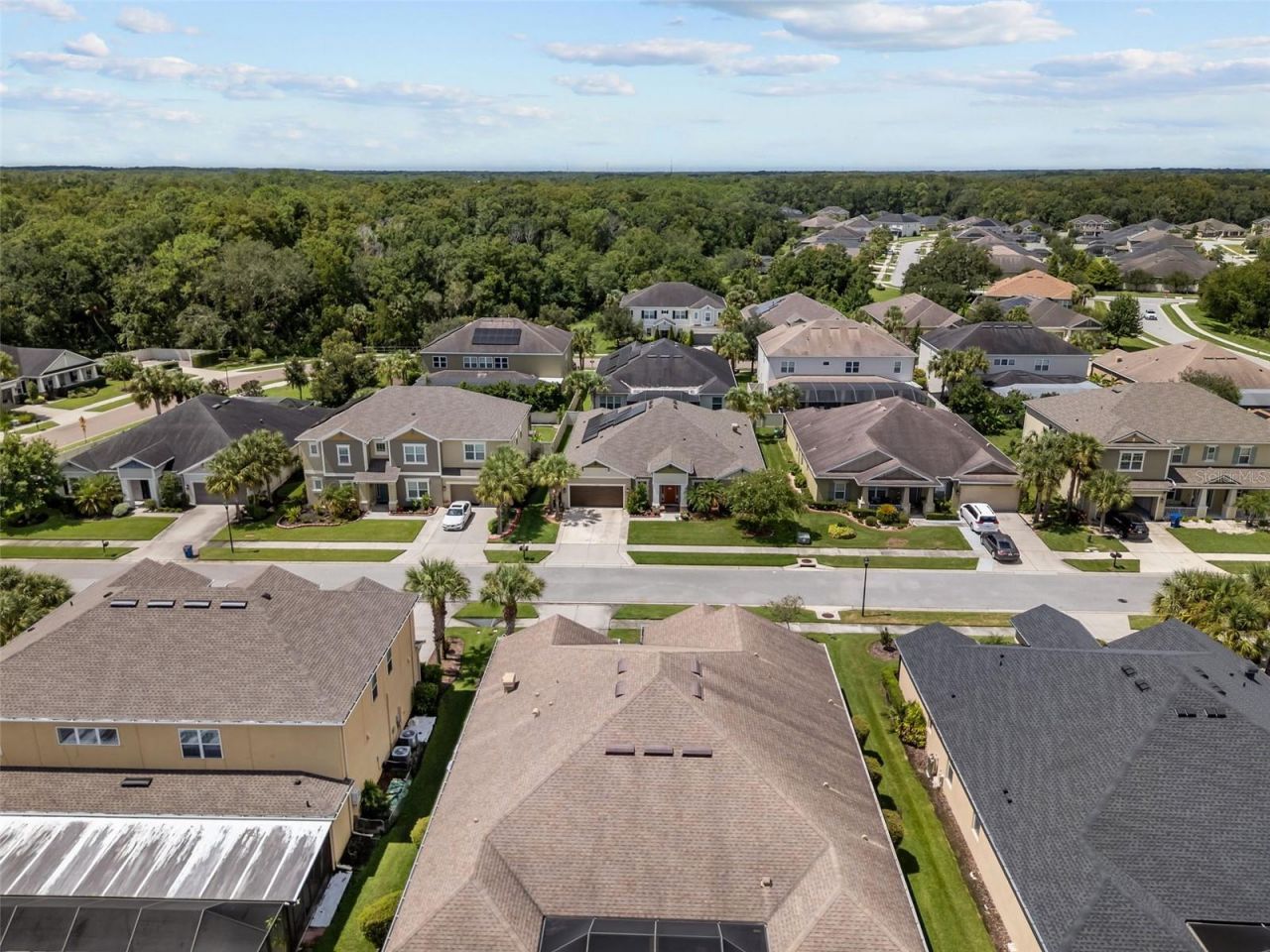 1584 Virginia Willow Drive , Wesley Chapel, FL 33544 Photo