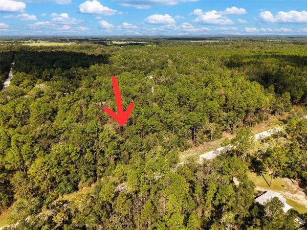 6339 NW 17TH COURT , BELL, FL 32619